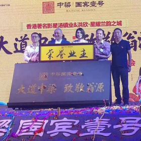 湯鎮(zhèn)業(yè)、洪欣出席中梁·國賓壹號啟動儀式！